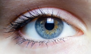 Iris_-_left_eye_of_a_girl